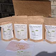 Cultivate Taste Tea - Indian Black Tea Box- 4 different one ounce of teas. No Candy. No Sugar. No Flavorings -