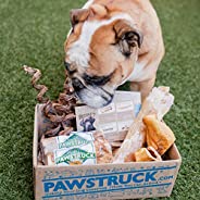 Pawstruck Natural Dog Chew Box: Large Dogs (50+LBS)