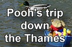 Pooh down the River Thames