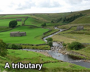 tributary