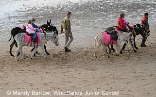 rides along the beach