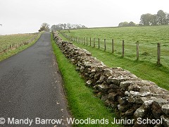 Hadrians Wall