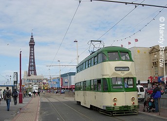 Tram