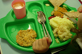 Fish Fingers, mash potatoes, bread and a biscuit for pudding