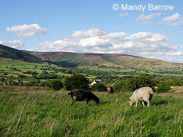 Peak District