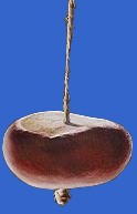 conker on a string