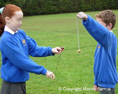 Playing conkers