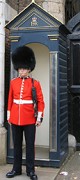 Foot Guard