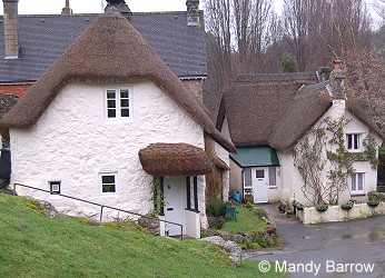 Thatched house