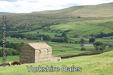 Yorkshire