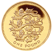 1 pound coin