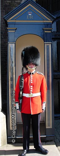 Foot Guard