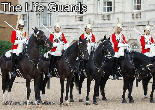 The Life Guards