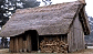 Saxon houses