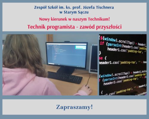 programista